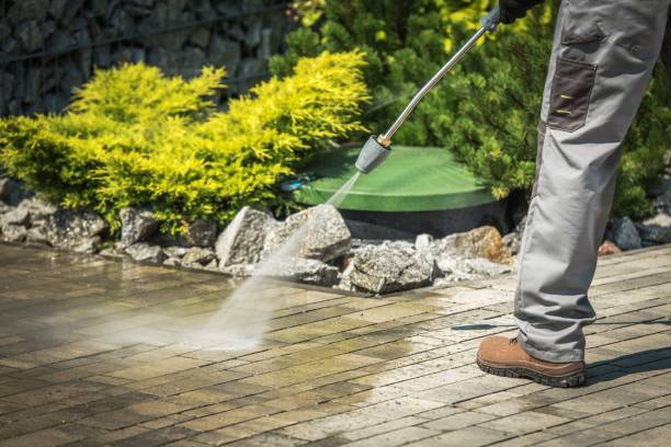 Best Pool Deck Cleaning  in Lovington, IL