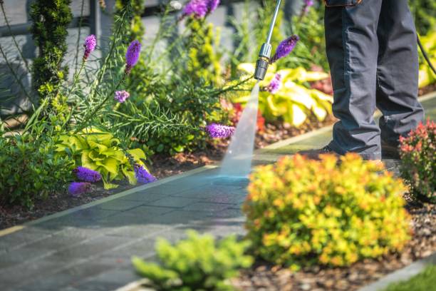 Best Gutter Cleaning  in Lovington, IL