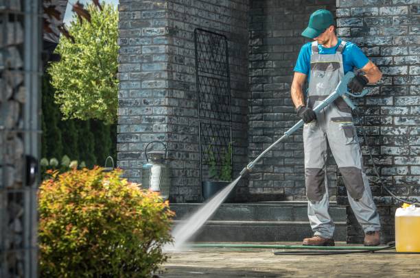 Best Animal Enclosure Cleaning  in Lovington, IL