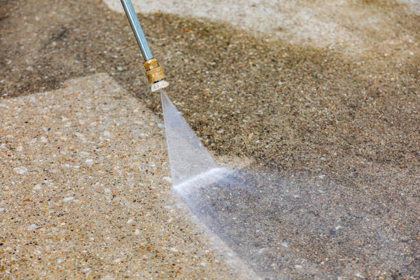 Best Sidewalk and Walkway Cleaning  in Lovington, IL