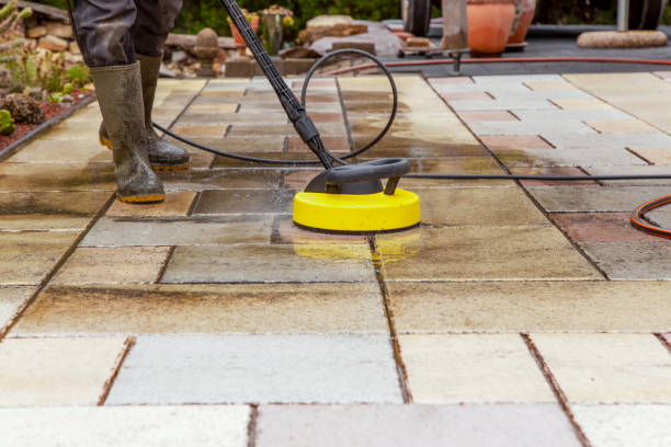 Best Pre-Holiday Cleaning  in Lovington, IL
