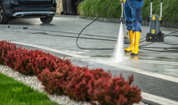 Best Building Exterior Washing  in Lovington, IL